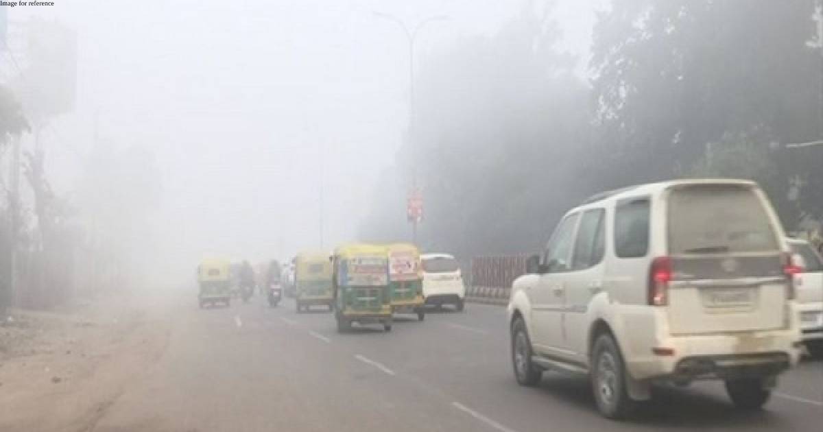 Delhi shivers at 1.9 degrees Celsius, IMD's red alert of severe cold to last till Monday